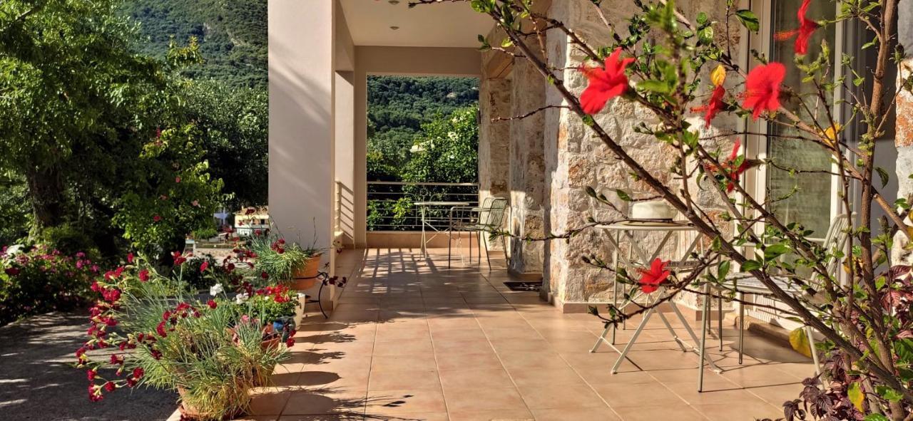 Gallery Suites Parga Extérieur photo